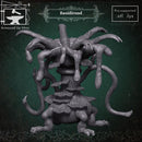 Basidirond - Only-Games