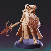 Divine Order Shieldmaiden - 5 Model Bundle - Only-Games