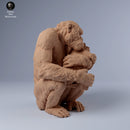 Chimpanzee Female and Baby 1/43 - Only-Games