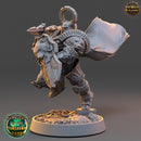 Roland Watcher - Templars of the Northern Lights - Only-Games