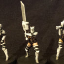 (Mercy's Reach) Castor Infantry - Melee Pose - Only-Games