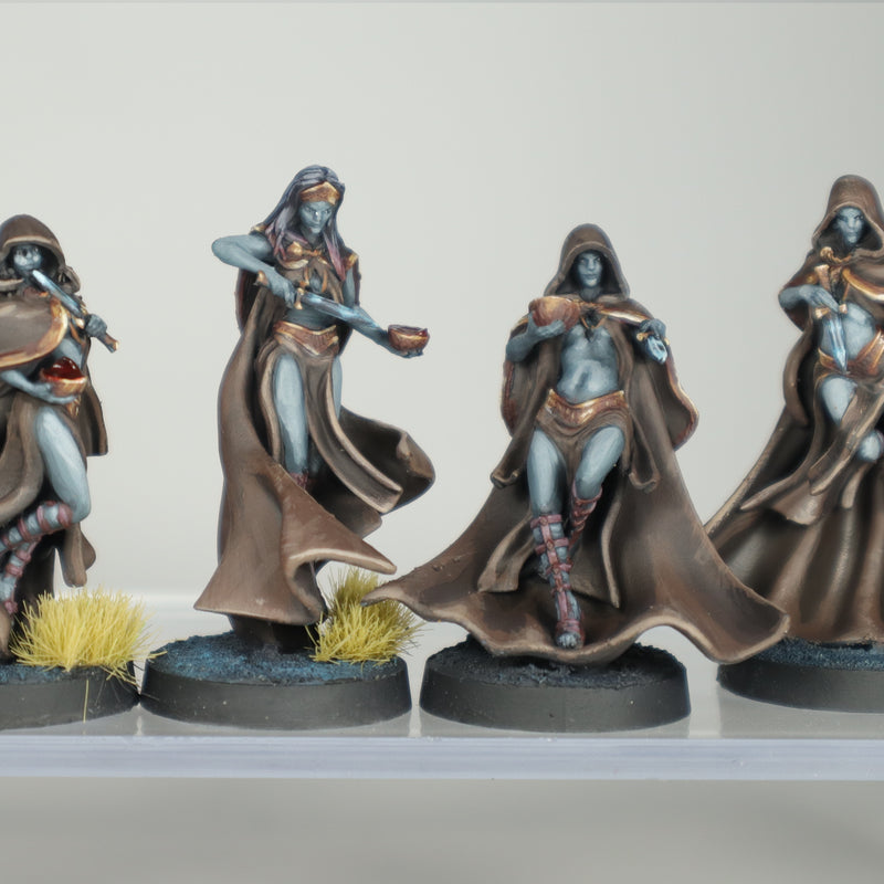 Dark Maidens Warband