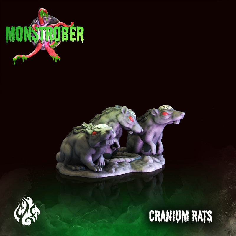 Cranium Rats - Only-Games