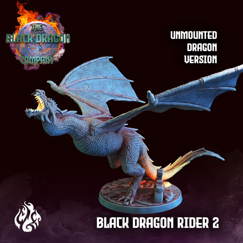 Black Dragon Rider - Only-Games