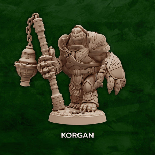 Korgan - Tortle Cleric