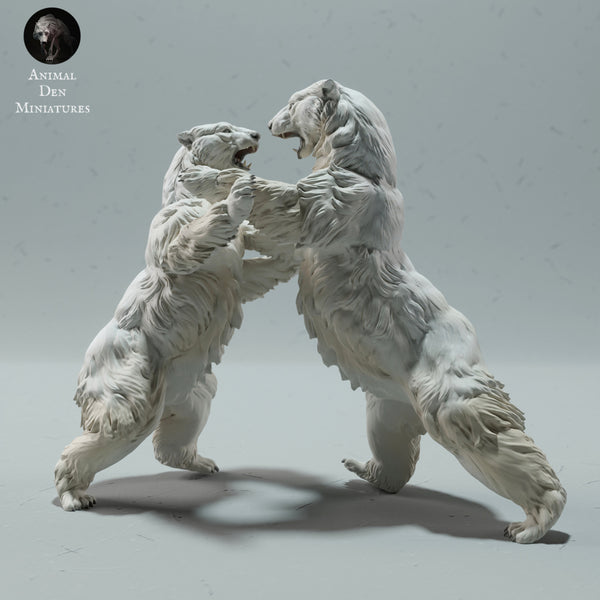 Polar Bears Fighting 1/43 - Only-Games