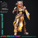 Ursa - Norse Fighter - Only-Games