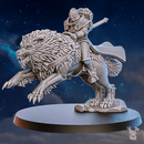 Stormpride Wolf Riders x3 - Only-Games