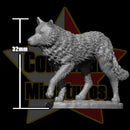 Dire Wolf Pack (7 Minis) - Only-Games