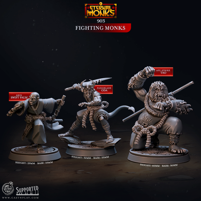 Fighting Monks - Eternal Monks - CastNPlay - Terrain Wargaming D&D DnD 28mm 32mm 40mm 54mm - Only-Games