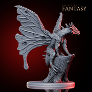 Fairy Dragon - Only-Games