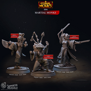 Martial Monks - Eternal Monks - CastNPlay - Terrain Wargaming D&D DnD 28mm 32mm 40mm 54mm - Only-Games