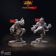 Dwarf Monks - Eternal Monks - CastNPlay - Terrain Wargaming D&D DnD 28mm 32mm 40mm 54mm - Only-Games