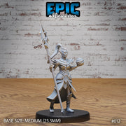 Dark Elf Army Sorceress - Only-Games