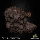 Ronhan Darkcoat [PRE-SUPPORTED] Hunter Dwarf Mercenary - Only-Games