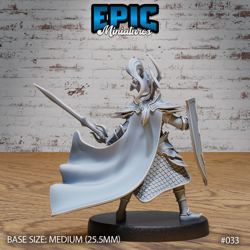 Dark Elf Army Paladin - Only-Games
