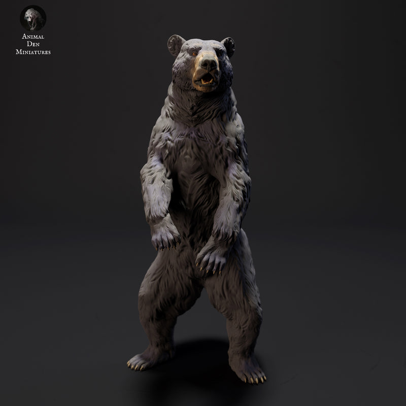 Black Bear Standing 1/43 - Only-Games