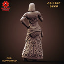 Seer of the Ash Elves - Only-Games