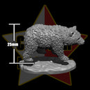 Into the Wild - 4 Bears - Only-Games