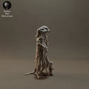Meerkats 1/9 - Only-Games