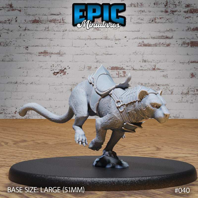 Dark Elf Panther Mount Rider Set