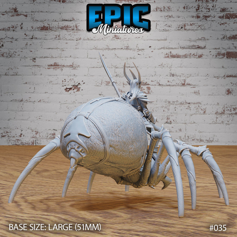 Dark Elf Spider Rider - Only-Games
