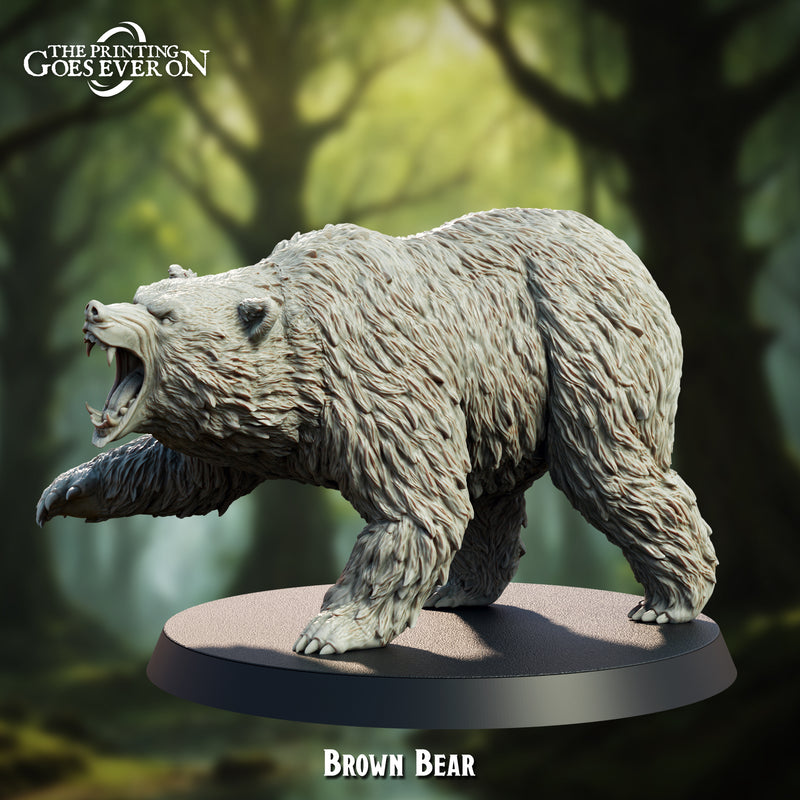 Brown Bear - Only-Games