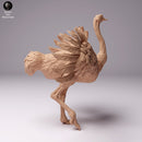 North African Ostrich Male 1/43 - Only-Games