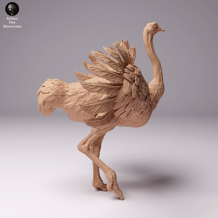 North African Ostrich Male 1/43 - Only-Games