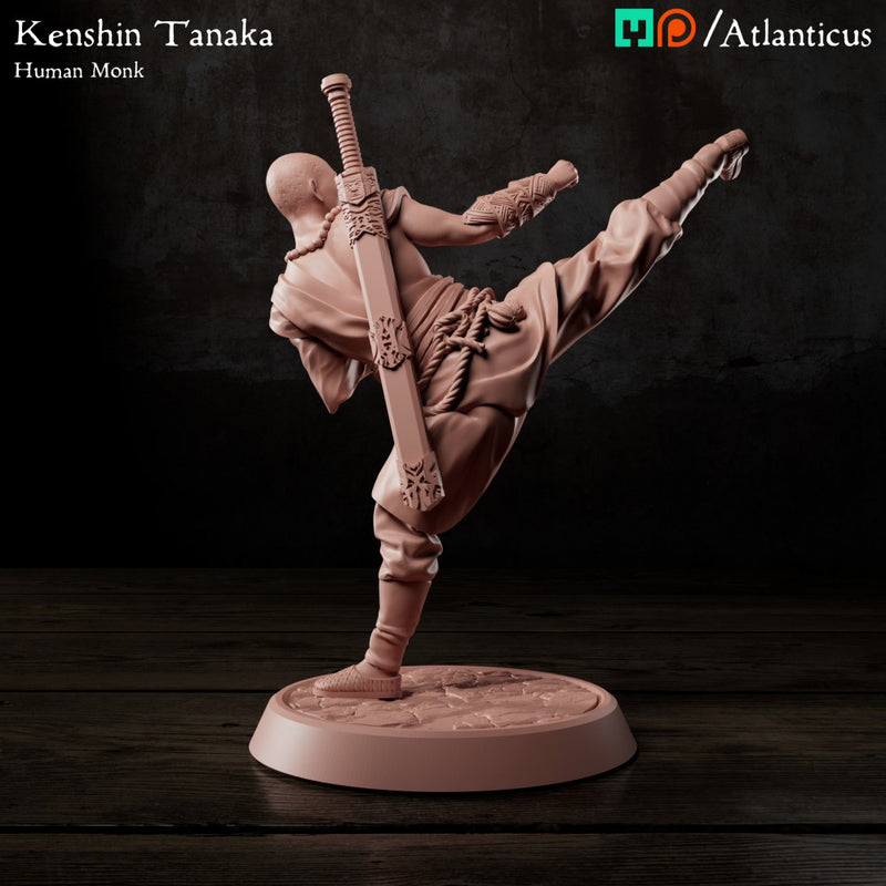 Kenshin Tanaka - Unarmed Kicking - Only-Games
