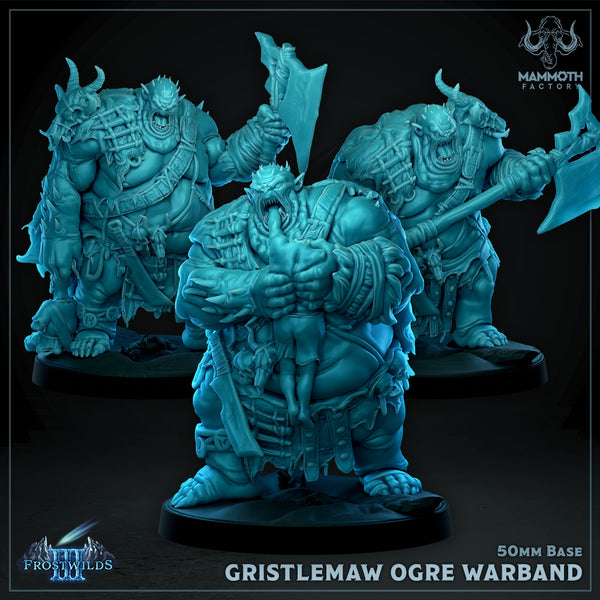 Gristlemaw Ogre Warband