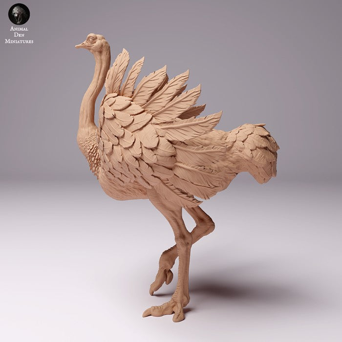 North African Ostrich Male 1/43 - Only-Games