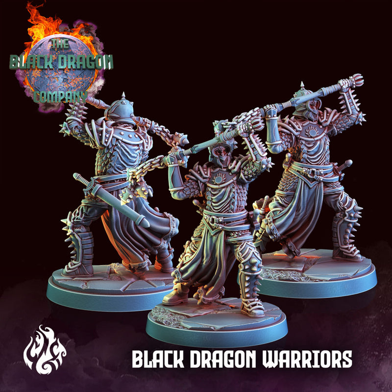 Black Dragon Warriors - Only-Games