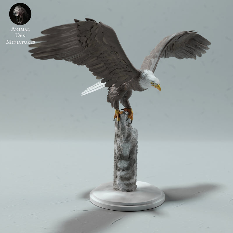 Bald Eagle 1/43 - Only-Games