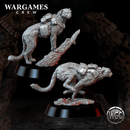 Cheetah Auxiliary Corps - Only-Games