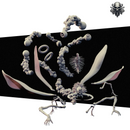 Astral Bug - Realsteone - Terrain Wargaming D&D DnD 32mm 40mm 54mm