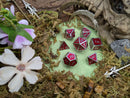 Red and Silver Metal Dice Set