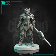(0300) Female human elf tiefling half-orc firbolg warrior fighter woman with spear and a complete armor - Only-Games