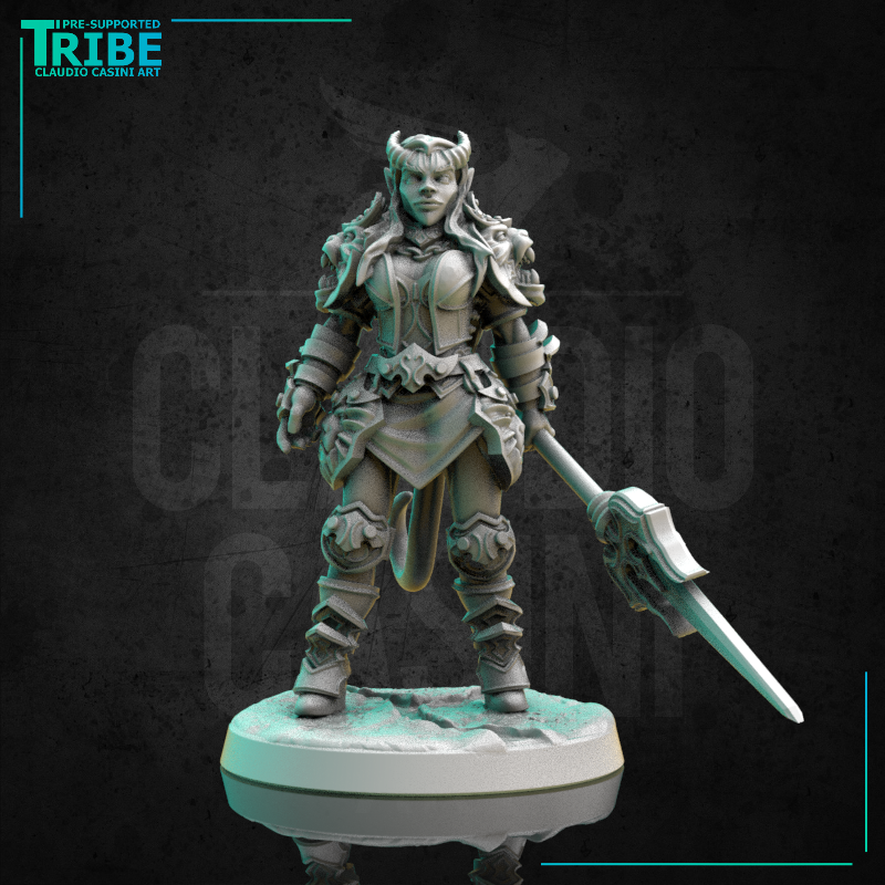 (0300) Female human elf tiefling half-orc firbolg warrior fighter woman with spear and a complete armor - Only-Games