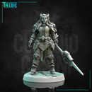 (0300) Female human elf tiefling half-orc firbolg warrior fighter woman with spear and a complete armor - Only-Games