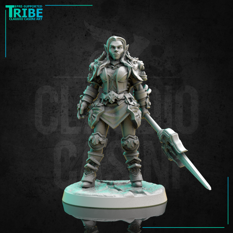 (0300) Female human elf tiefling half-orc firbolg warrior fighter woman with spear and a complete armor - Only-Games