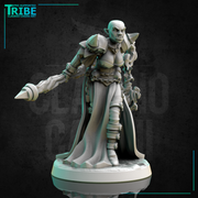 (0276) Female elf human firbolg half-orc tiefling necromancer dark sorceress wizard with a magic stick - Only-Games