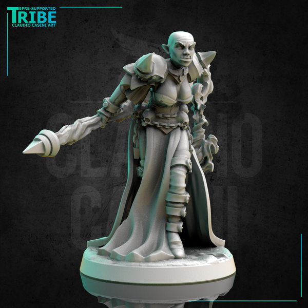 (0276) Female elf human firbolg half-orc tiefling necromancer dark sorceress wizard with a magic stick