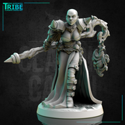 (0276) Female elf human firbolg half-orc tiefling necromancer dark sorceress wizard with a magic stick - Only-Games