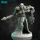 (0276) Female elf human firbolg half-orc tiefling necromancer dark sorceress wizard with a magic stick