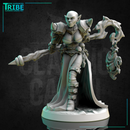 (0276) Female elf human firbolg half-orc tiefling necromancer dark sorceress wizard with a magic stick