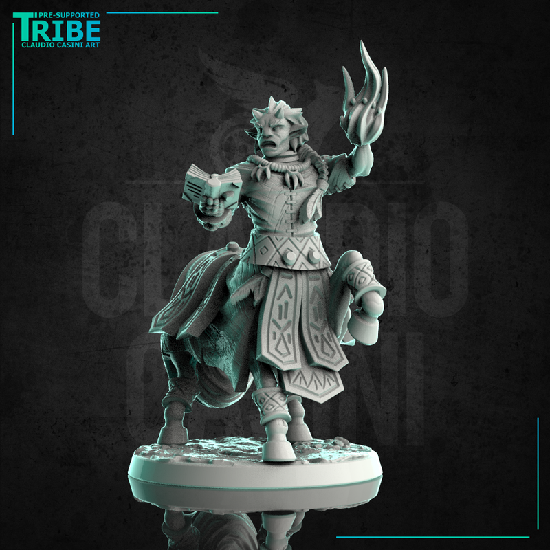 (0239) Male centaur summoner wizard with magic book and spell - Only-Games