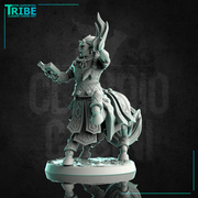 (0239) Male centaur summoner wizard with magic book and spell - Only-Games