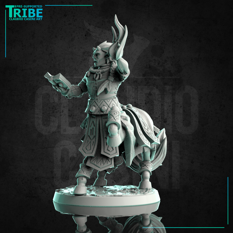 (0239) Male centaur summoner wizard with magic book and spell - Only-Games