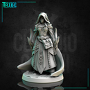 (0310) Female human elf half-orc firbolg tiefling witch sorceress wizard with spell